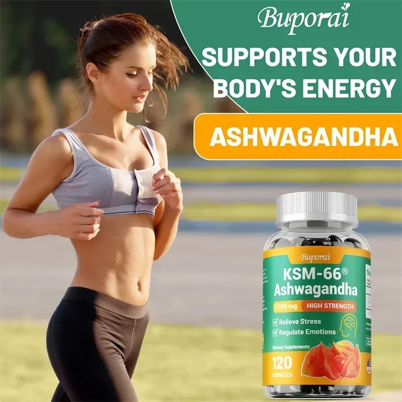 KSM-66 Ashwagandha 1200mg.