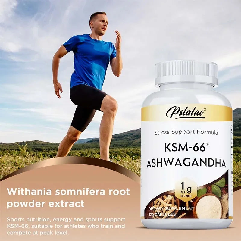 KSM-66 Ashwagandha dietary supplement.